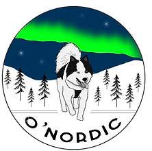 Logo : représente un chien marchant dans la neige en pleine nuit avec une aurore boréale
