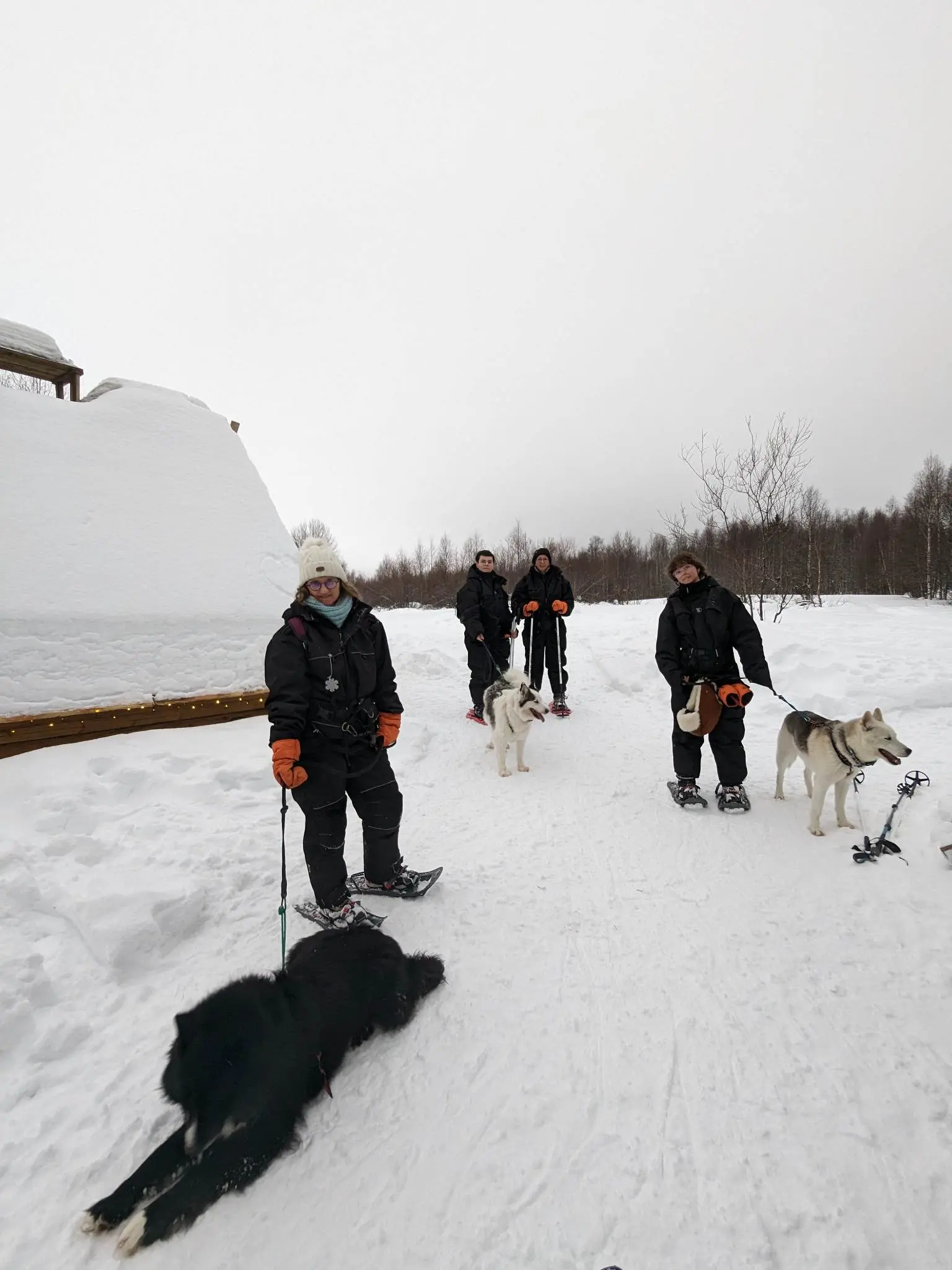 Famille en cani randonnee