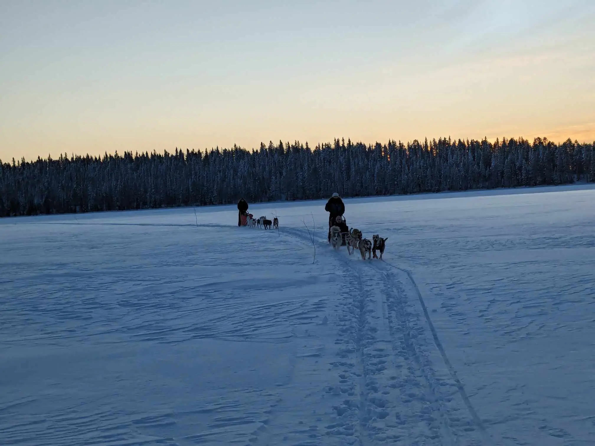 conduite traîneau en famille laponie