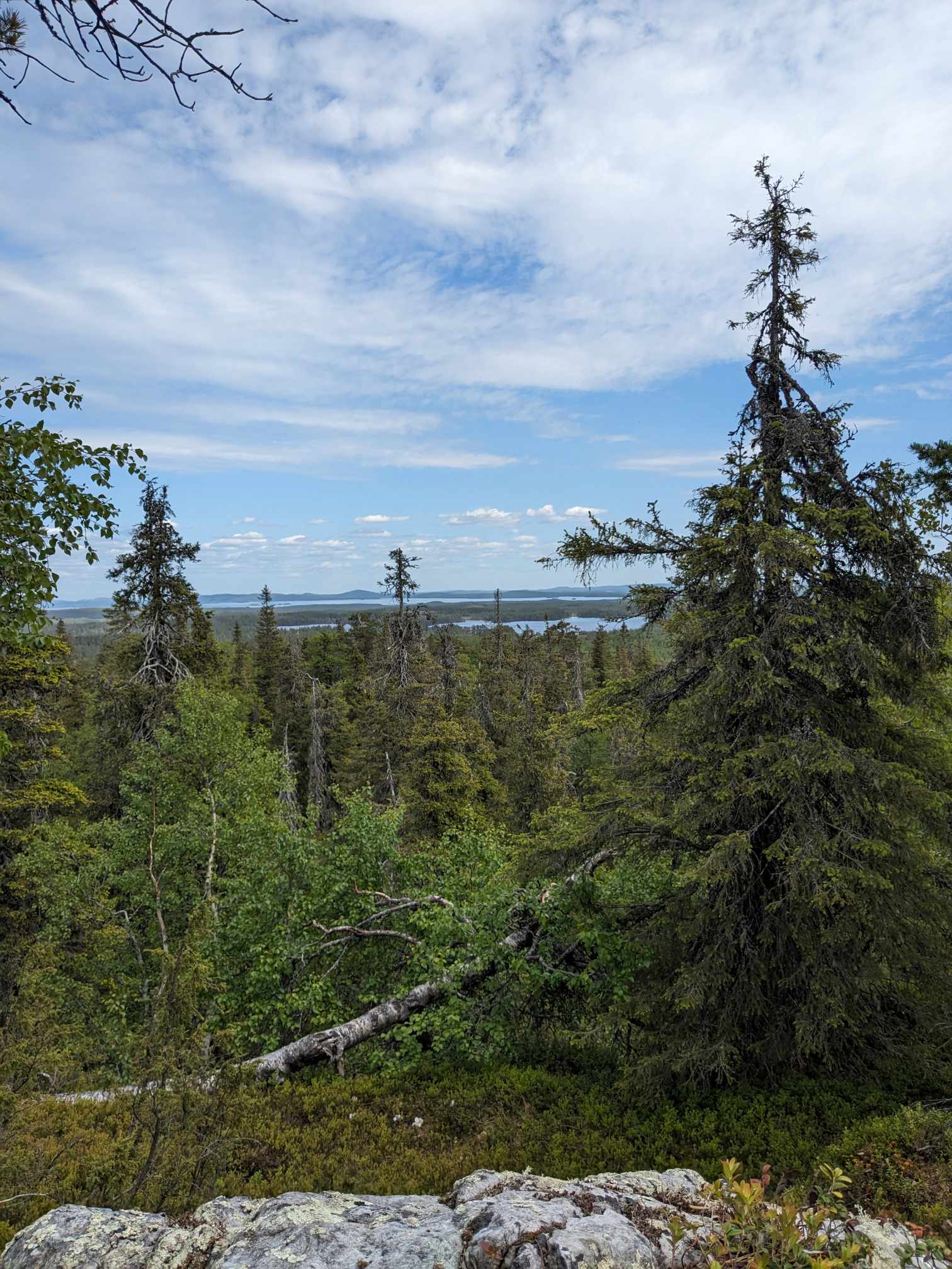 point de vue Riisitunturi