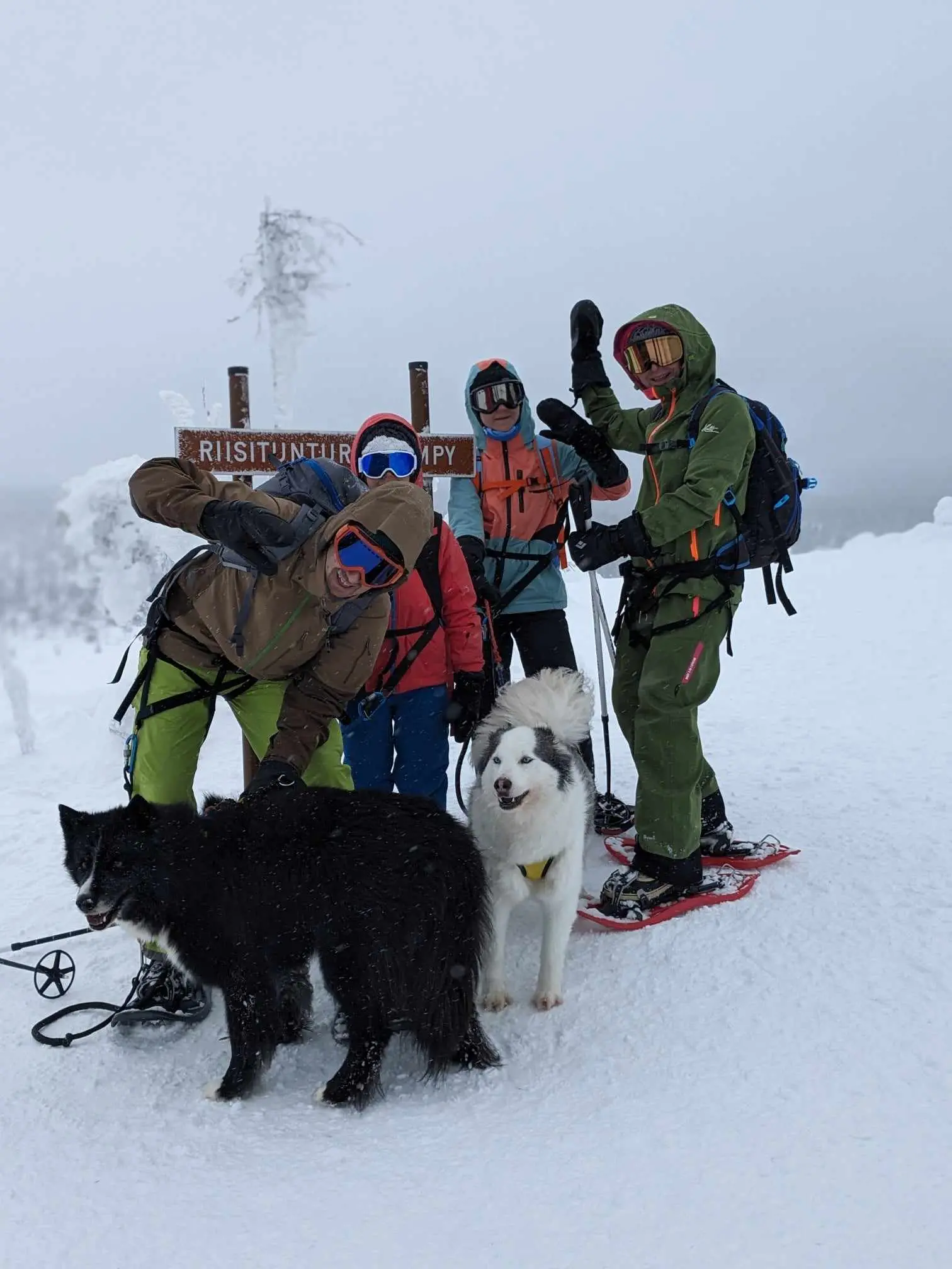 Riisitunturi en famille avec chiens