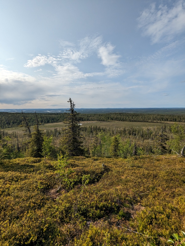 vue point Riisitunturi