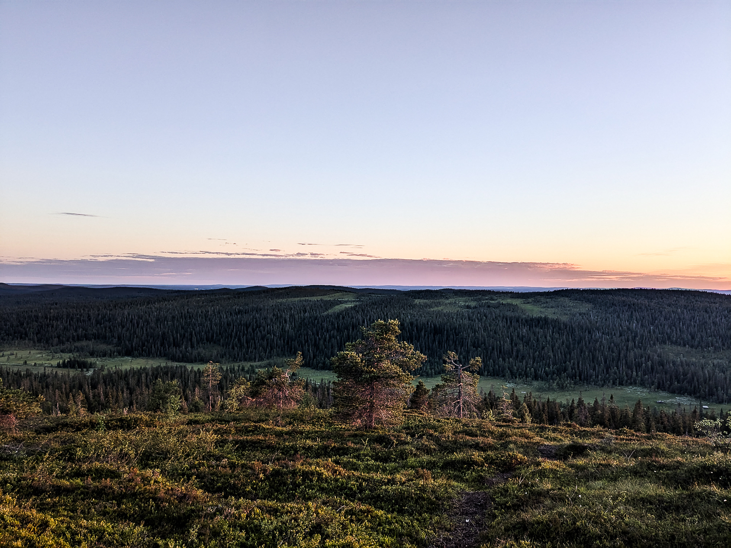 soleil minuit Riisitunturi vallée Laponie