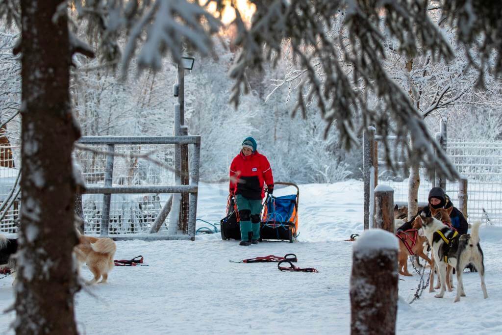 preparation of husky tour winter time