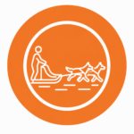 dog sledding