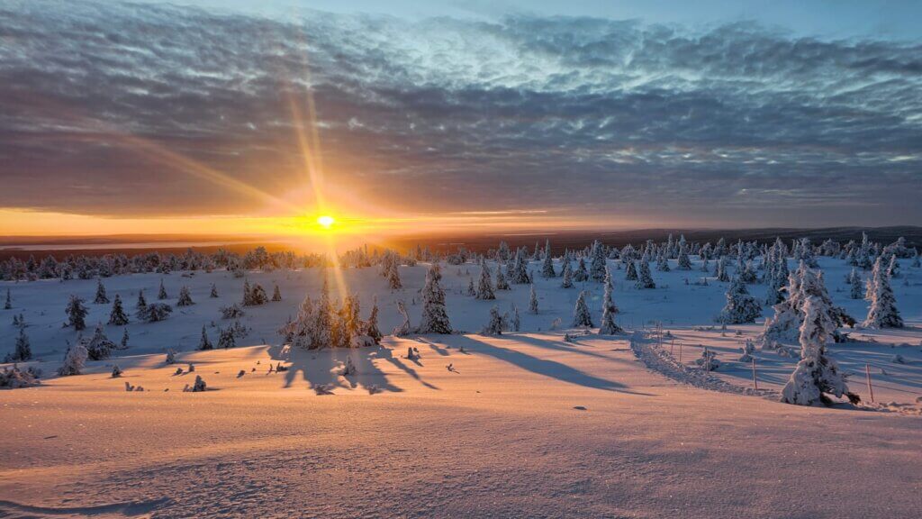 sunset snow landscape snowtree