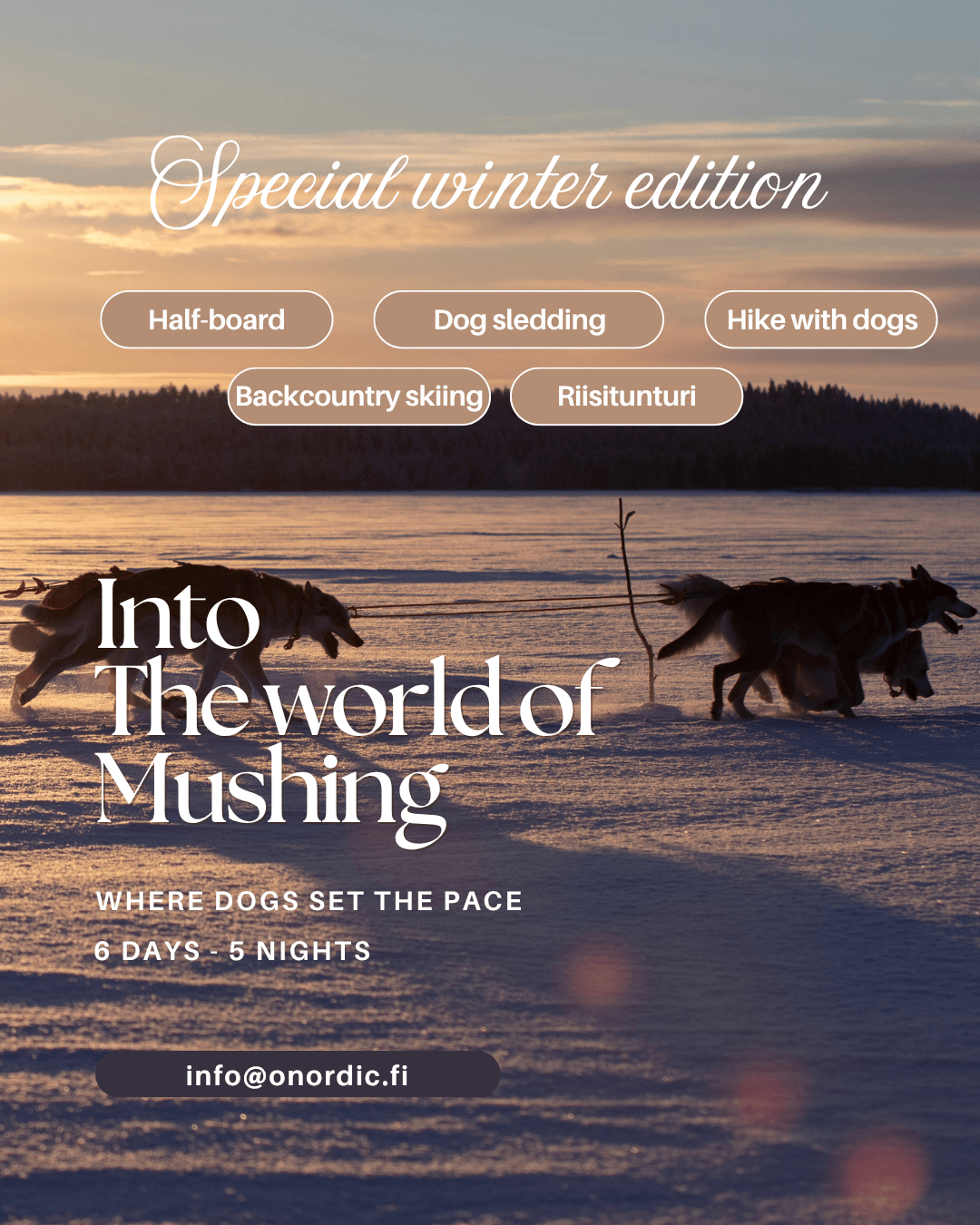 winter husky safari ruka posio kuusamo package